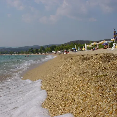 Badis Haus * 托罗尼