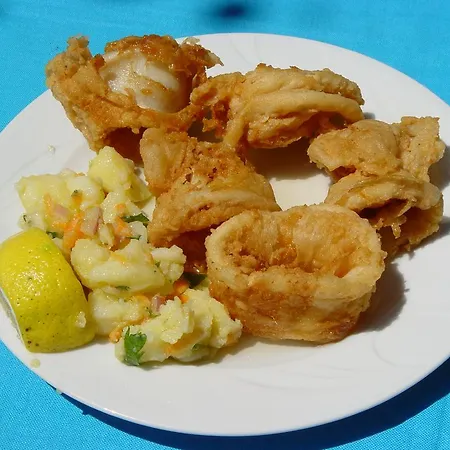 公寓 Badis Haus 托罗尼