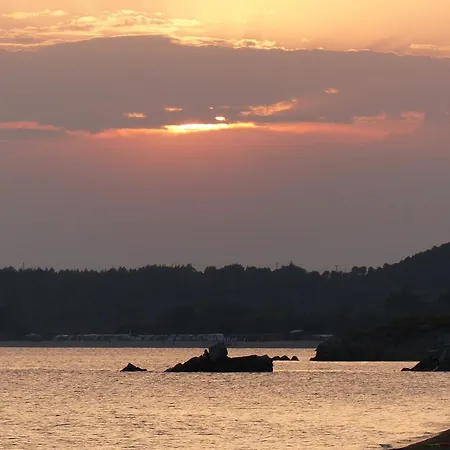 Badis Haus * トロニ