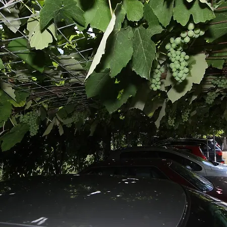 アパート Badis Haus